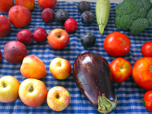 Five Tips for a Healthy Life